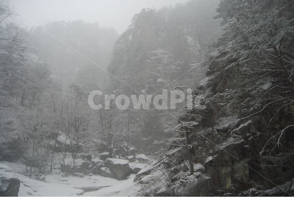 공원,산,겨울,눈,등산로,겨울,계절,winter,season,자연,풍경,nature,landscape,한국자연풍경,한국자연경관,korea nature landscape,outdoors,옥외
