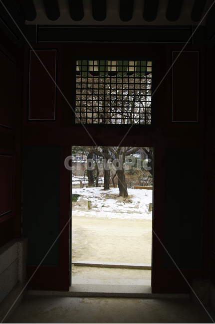 덕수궁,고궁,traditional,전통,문,나무,식물,plant,한국전통,한국문화,korean traditional,korean culture