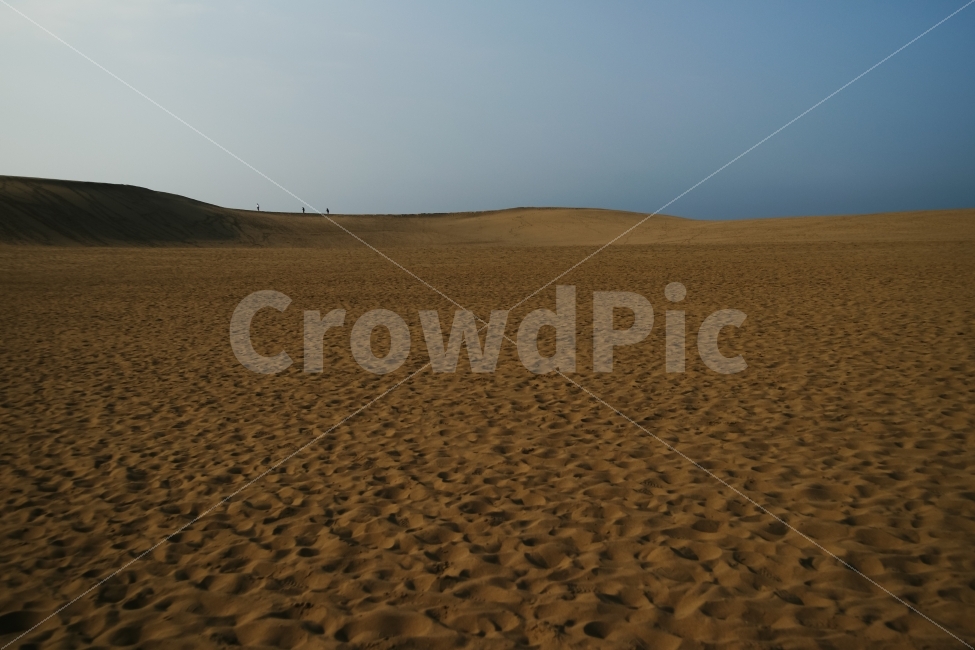 해외,일본,돗토리,사구,모래사장,바다,푸른하늘,모래,자연,풍경,nature,landscape,해외,외국,세계,foreign,oversea,world,soil,흙,sand,outdoors,옥외,dune,모래 언덕