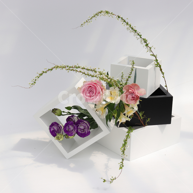 식물,플랜테리어,인테리어식물,반려식물,꽃,센터피스,꽃바구니,flowers,flower,실내용화초,화분,화초,house plant