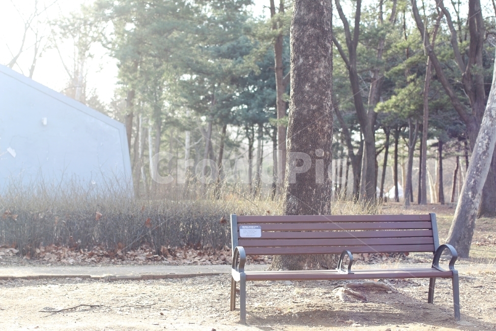공원,빛,벤치,초원,빛내림,한적한공원,따뜻함,자연,풍경,nature,landscape,휴식,힐링,rest,relaxation,healing,bench