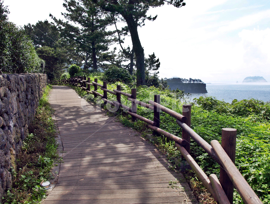 목책길,산책로,범섬,올레7코스,서귀포시,올레길,바당길,바당올레,제주,자연,풍경,nature,landscape,arbour,정자,garden,정원,outdoors,옥외