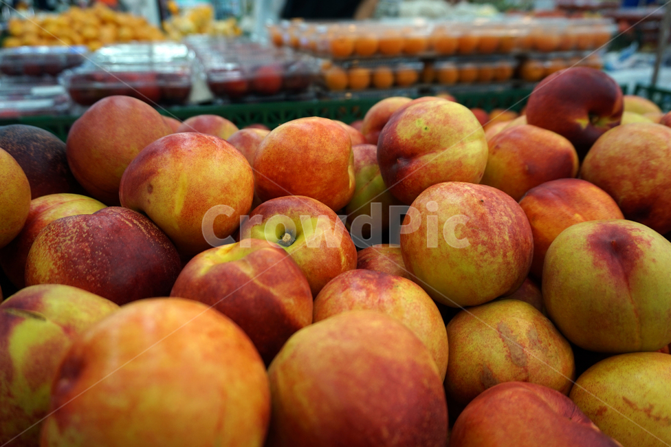 자두,여름,과일,plum,여름과일,마트,과일코너,음식,식재료,요리,food,cook,meal,dishes,food reserves,과일,열매,fruit