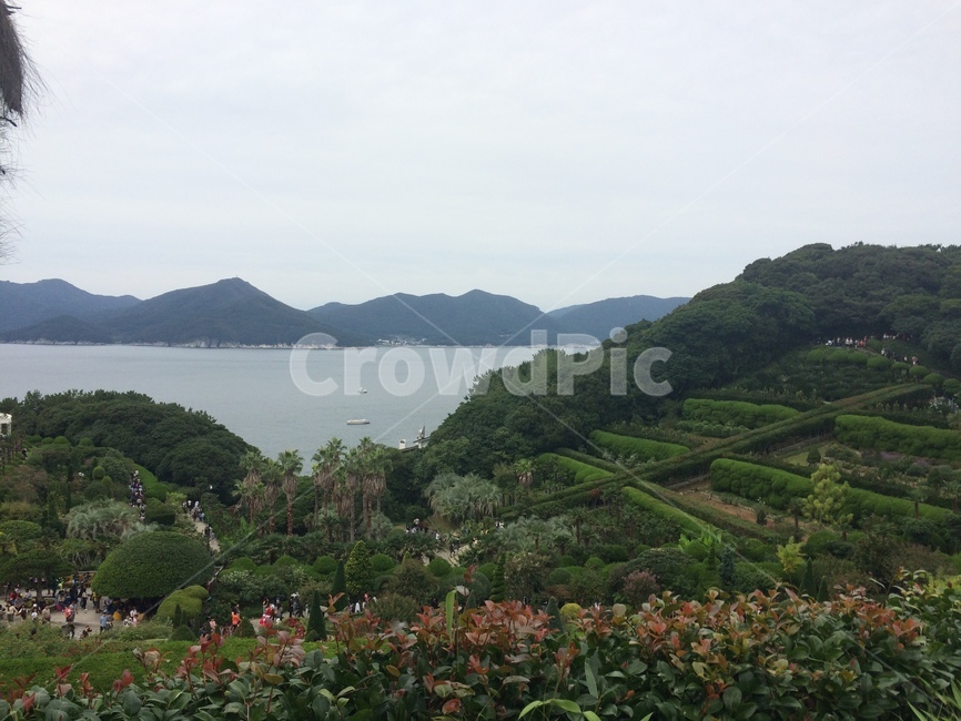 산,바다,자연,꽃,들판,nature