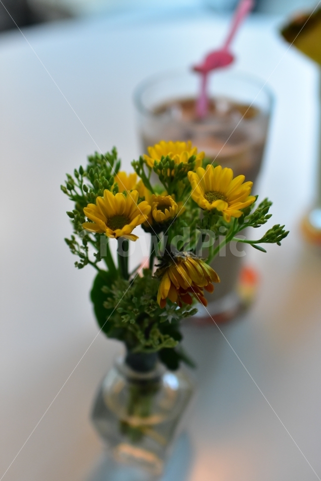 꽃,카페,노랑,작은꽃,장식,실내,실내장식,풀,식물,자연,plants,nature,꽃,flower,인테리어,실내디자인,interior design