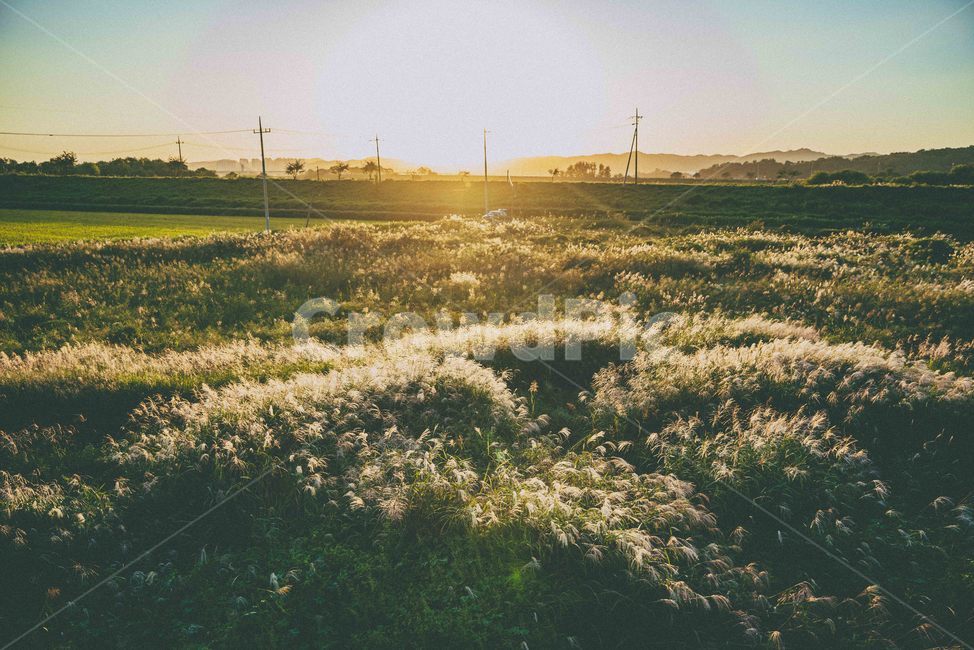 가을,노을,해질녘,자연,감성,sunset,가을,계절,fall,autumn,season,field,들