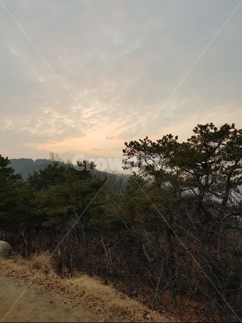 nature,tree,plant,식물,산행,정상,자연,일몰,해질녘,자연,풍경,nature,landscape