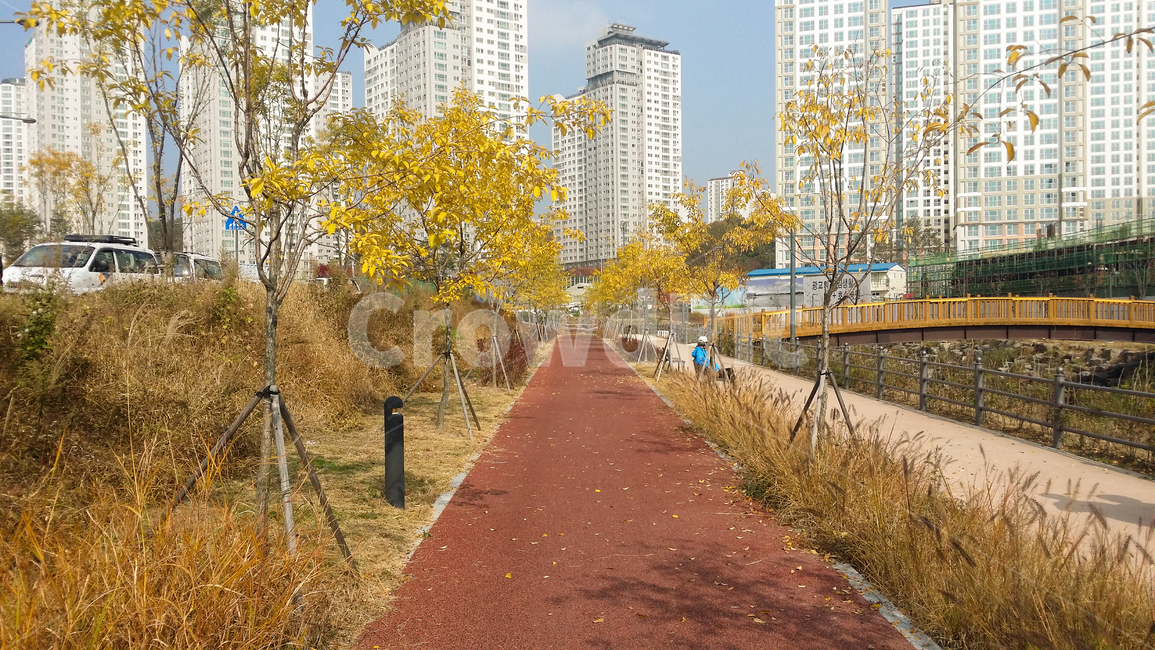 가을,공원,park,나무,길,한국도시풍경,한국도시경관,korea cityscape