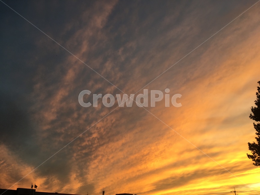 sky,노을하늘,하늘,양떼구름,sunsetsky