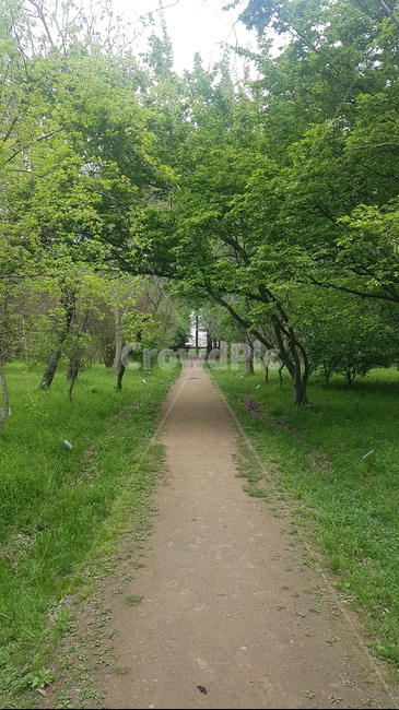 경주,나무,자연,풍경,자연풍경,초록초록,초록잎,초록색,계절,풀냄새,힐링,쉼,마음,편안함,경상북도환경산림연구원,경주산림연구원