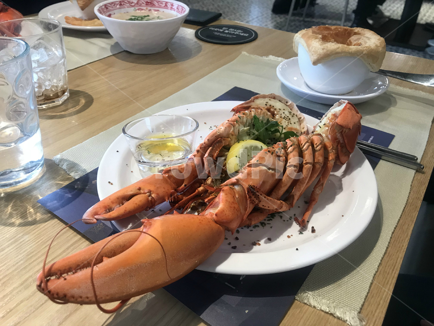 점심,랍스터,음식,해산물,seafood,해물,빵,lobster