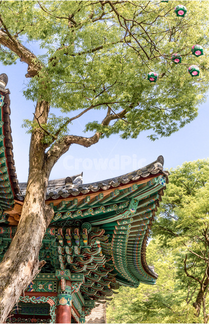 단청,문화유산,전통,사찰,고찰,문양,무늬,채색,한국전통,한국문화,korean traditional,korean culture,식물,자연,plants,nature,나무,trees,wood,건축물,건물외관,exterior,building,structure,architecture,construction
