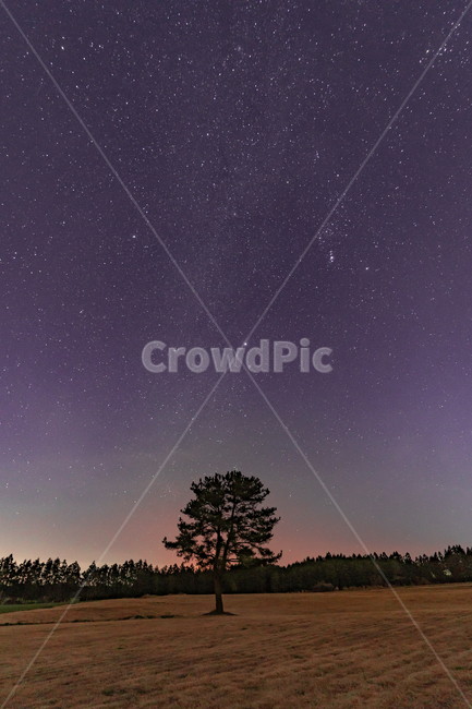 별,천체,sky,star,nature,자연,outdoors,옥외,나무,왕따나무,자연,풍경,nature,landscape,야경,밤,nightscape,night