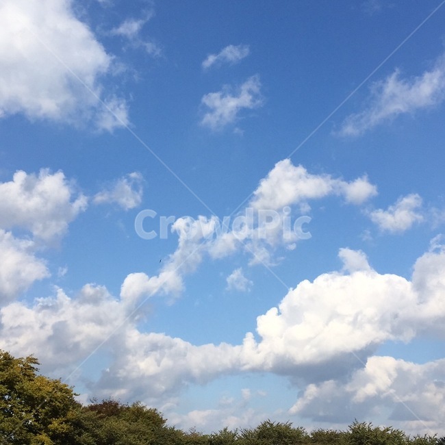 하늘,구름,sky,가을,봄,여름,겨울,계절하늘,뭉게구름,푸른하늘,파란색,파랑색,하늘색,스카이블루,감성,감성사진,배경,배경화면,싱그러운,푸른,나뭇잎,나무,잎사귀,잎,푸른배경,항공샷,하늘샷,자연,풍경,nature,landscape,outdoors,옥외,azure sky,푸른 하늘