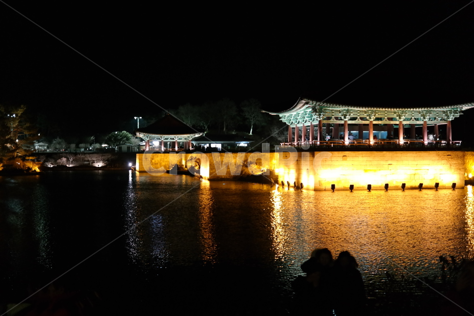 경주,유적지,야경,연못,안압지,야경,밤,풍경,nightscape,night,landscape,한국전통,한국문화,korean traditional,korean culture,랜드마크,landmark,tourist attraction,한국랜드마크,한국관광지,한국명소,korea landmark,korea tourist attraction,건축물,건물외관,exterior,building,structure,architecture,construction,건물,worship,예배,shrine,신사