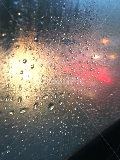 비,빗방울,버스창가,퇴근길,비맻힌유리,물방울,비,비오는날,rain,rainy