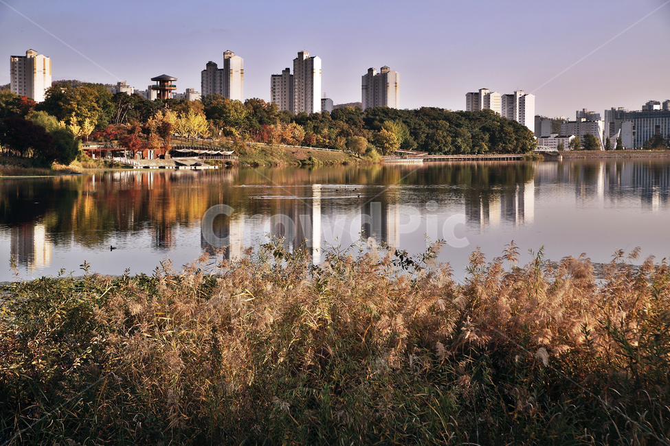 광교호수공원,영통,수원,공원,아파트,원천저수지,갈대,반영,가을,도시,풍경,city,landscape,한국도시풍경,한국도시경관,korea cityscape