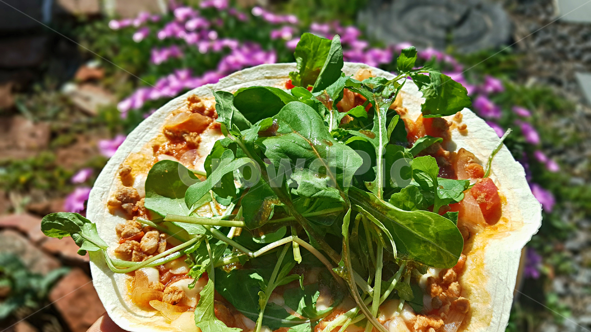 루꼴라피자,루콜라피자,루콜라,루꼴라,food,피자,요리,푸드,음식,음식,식재료,요리,food,cook,meal,dishes,food reserves,채소,야채,vegetables