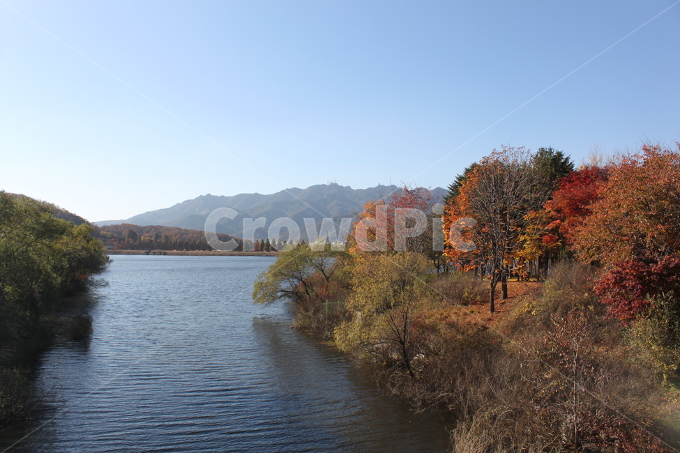 water,nature,자연,outdoors,물,단풍,maple,fall,강,가을,계절,fall,autumn,season,자연,풍경,nature,landscape,옥외