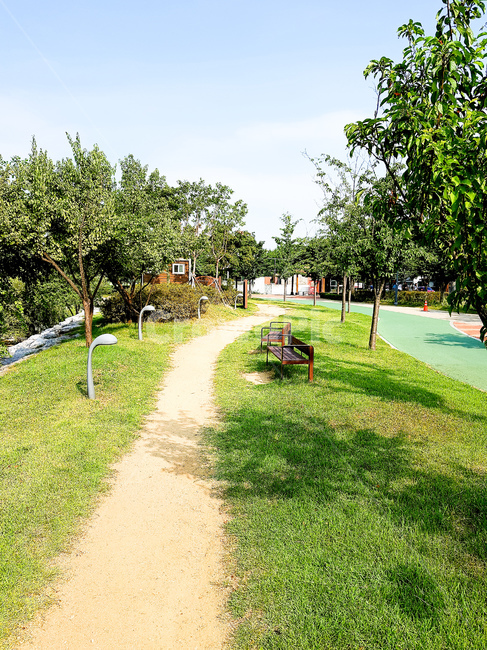 공원,벤치,산책,풍경,낮,자연,풍경,nature,landscape