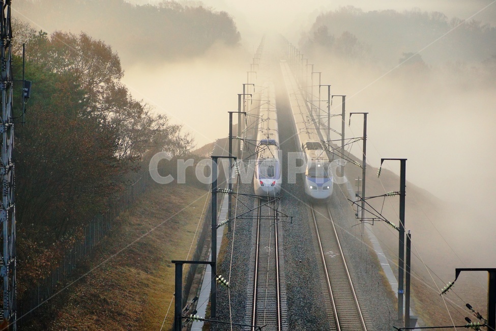 기차,ktx,운해,질주,열차,교통,교통수단,traffic,transportation