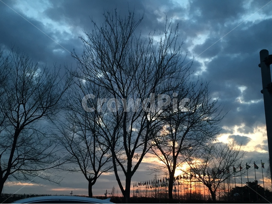 하늘,노을,구름,나무,해질녁,우울한닐,나뭇가지,실루엣,겨울,계절,winter,season,식물,자연,plants,nature,나무,trees,wood
