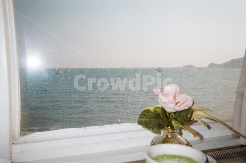 카페,뷰카페,바다,녹차라떼,영도,꽃,flower