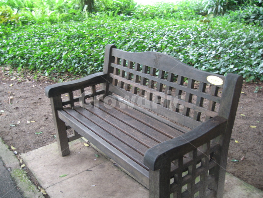 bench,벤치,자연,의자,숲