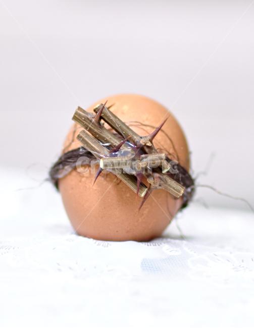 부활절,부활계란,가시계란,부활면류관,주님부활하셨네,easter,aneasteregg,부활절성지가지,부활절종려나무,종교,신앙,religion,belief,faith,연출,컨셉,콘셉,direction,concept