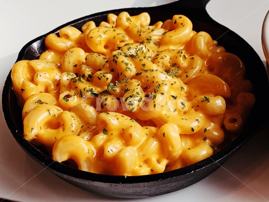 meal,macaroni,lunch,food,mac and cheese,cheese,western food