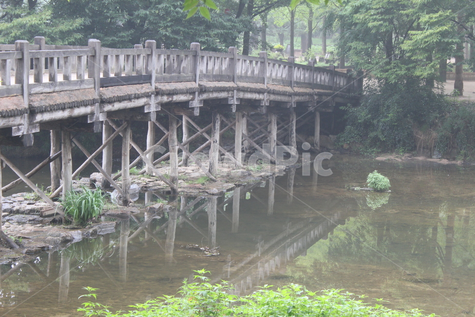 다리,연못,나무다리,숲속,강가,자연,풍경,nature,landscape,water,물