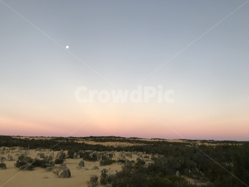 사막,desert,풍경,자연,사막풍경,사막경치,돌,피나클스,호주,호주자연,호주경치,오스트레일리아,austrailia