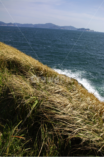 바다,언덕,잡초,풀,파도,섬,promontory,곶,grass,잔디,plant,식물,outdoors,옥외