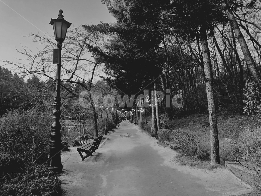 흑백,길,나무,가로등,의자,벤치,전등,blackandwhite,road,tree,streetlamp,chair,bench,bulb,하늘,sky,자연,풍경,nature,landscape,흑백,모노톤,monochrome,black and white,plant,식물