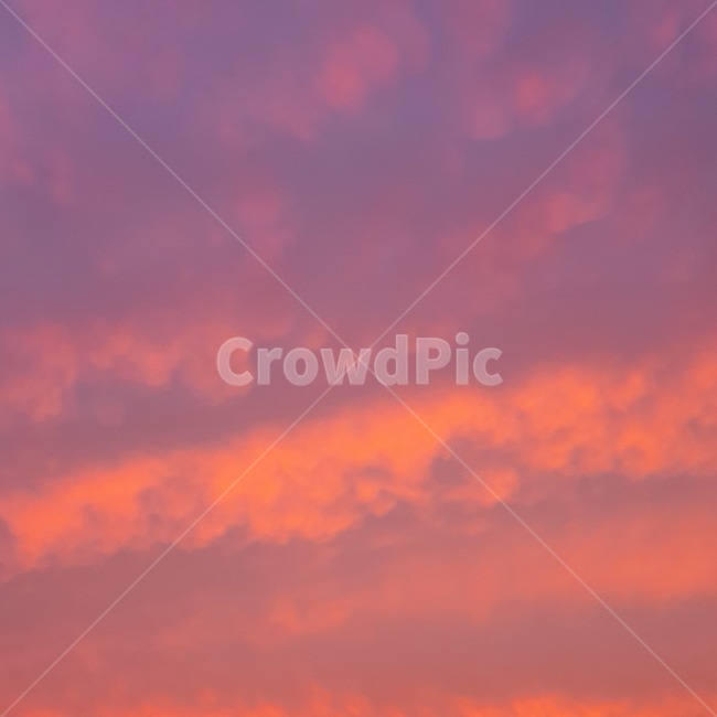 하늘,몽환,힐링,보라,핑크,nature,자연,outdoors,sky,옥외,색깔,색상,색채,색감,color sense,color sensitivity,feeling of color