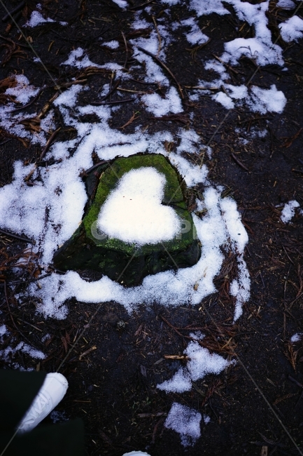 하트,눈,설경,나무,heart,심장,이미지,배경이미지,사랑,겨울,계절,winter,season,감정표현,기분,feeling,emotion