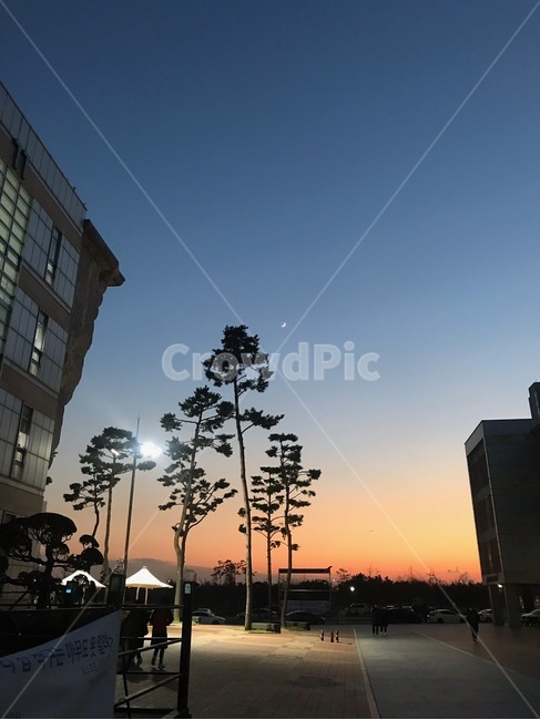 노을,대학교,밤하늘,나무,그림자,학교,하늘