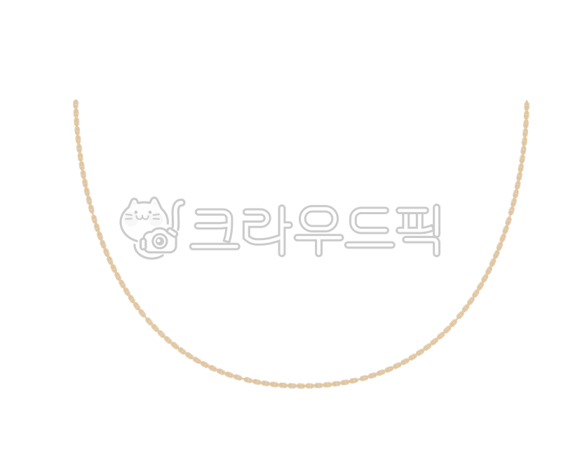 체인, 체인끈, 끈, 목걸이, 팔찌, 사진,이미지,일러스트,캘리그라피 - 원두랑놀자작가