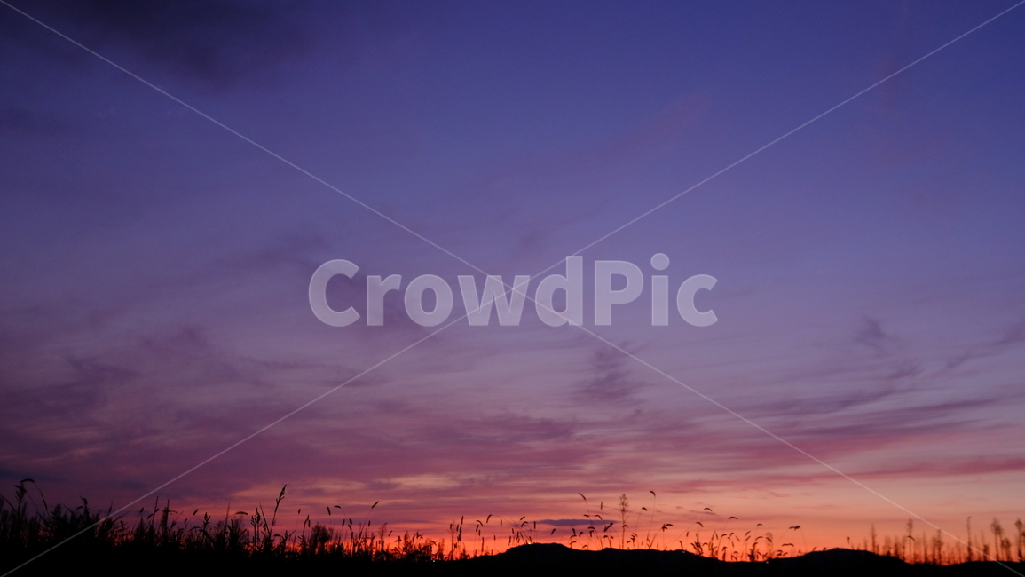 노을,풍경,하늘,자연,강아지풀,일몰,sunset,sundown,보라빛,구름,cloud,주황빛,자연,풍경,nature,landscape,outdoors,옥외
