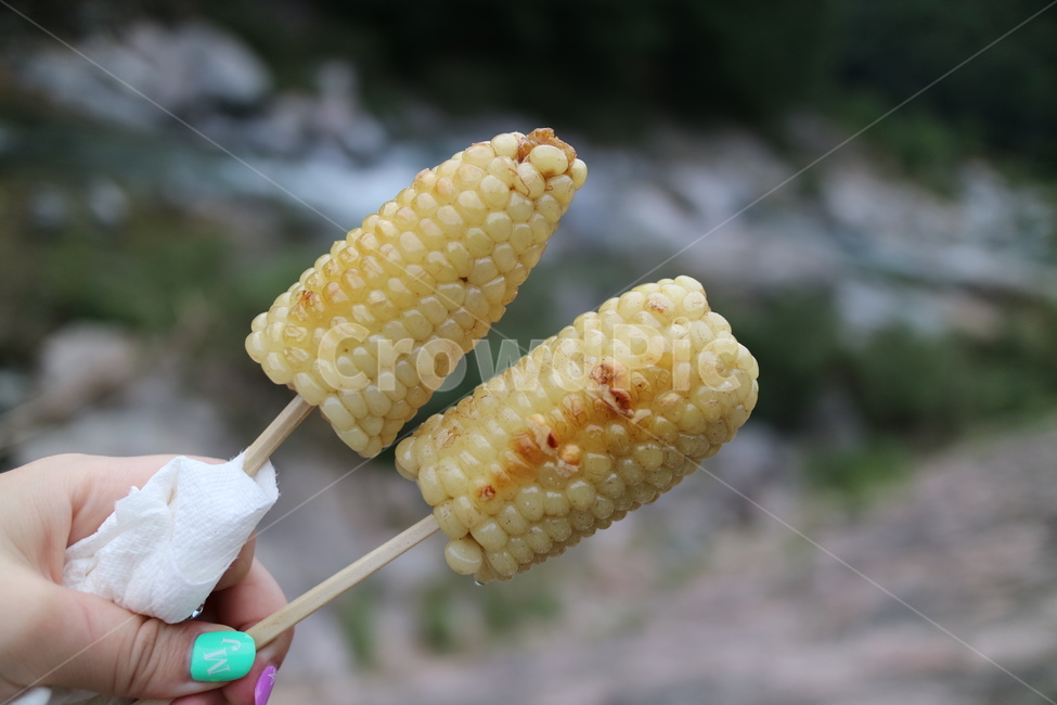 음식,먹방,옥수수,옥수수구이,마약옥수수,옥수수버터구이,간식,옥수수간식,음식,식재료,요리,food,cook,meal,dishes,food reserves