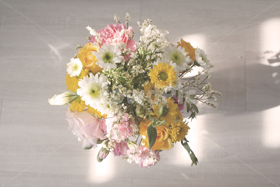 꽃,장미꽃,리본,카네이션,국화,flower,roses,ribbon,chrysanthemum,carnation,pink,yellow,안개꽃,gypsophila,flowerbouquet,꽃다발,노랑,핑크,꽃,flower