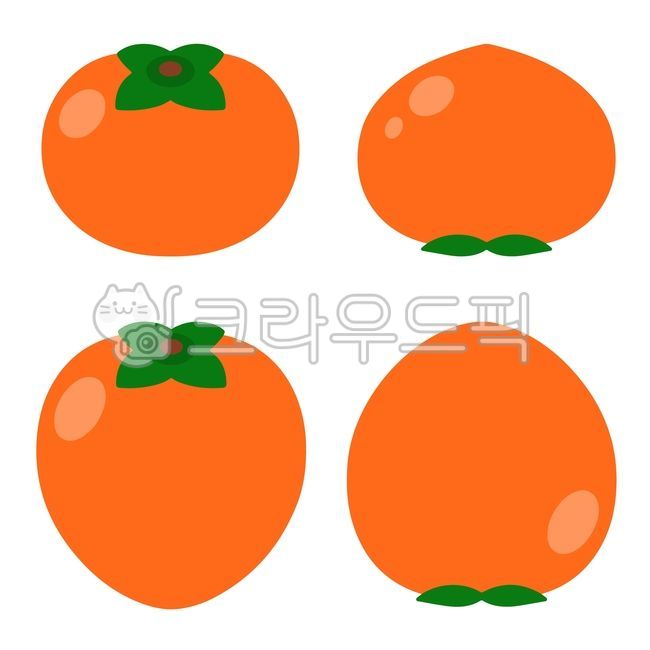 Persimmon,persimmon drawing,persimmon illustration,persimmon hand drawing,persimmon,fruit,fall fruit,fall food,persimmon fruit,food,food,persimmon illustration,persimmon,sweet persimmon,daebong,persimmon types,korean fruit,koreanfood,kor