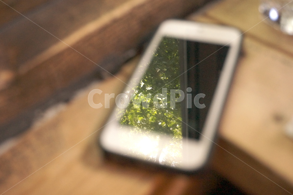 iphone,iphone5,tree,나무,액정,nature,사물,물건,오브젝트,thing,object,matter
