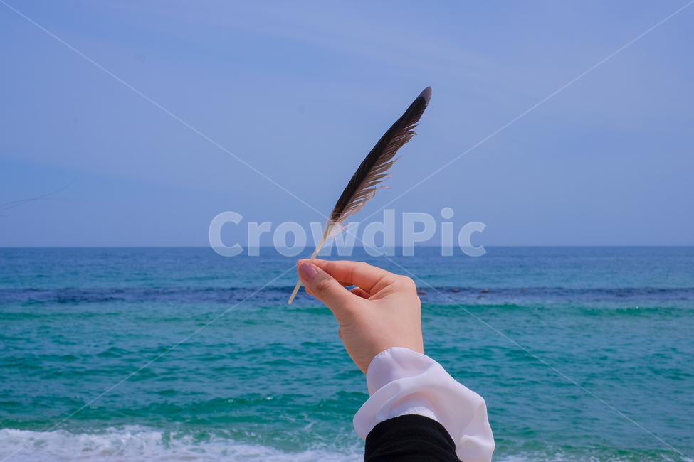 하늘,바다,깃털,손,여행,색감,감성,감성사진,해변,풍경,풍경사진,자연,자연풍경,감각,연출,emotion,sky,travel,landscape,nature,해변,바다,beach,sea,사람,인물,인간,human,person,신체일부,몸,body,감성,sensible,feeling,색깔,색상,색채,색감,color sense,color sensitivity,feeling of color,연출,컨셉,콘셉,direction,concept