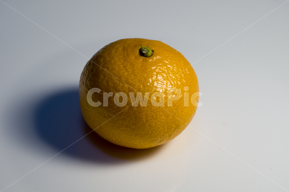 귤,비타민,과일,식물,감귤류과일,음식,주황색,orange,food,plant,citrusfruit,fruit,상큼,신,오렌지,음식,식재료,요리,food,cook,meal,dishes,food reserves,과일,열매,fruit