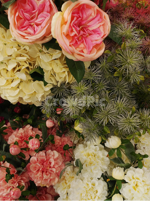 꽃,꽃다발,디스플레이,플라워,꽃잎,flowers,칼라,color,식물,축하,조화,배경화면,수국