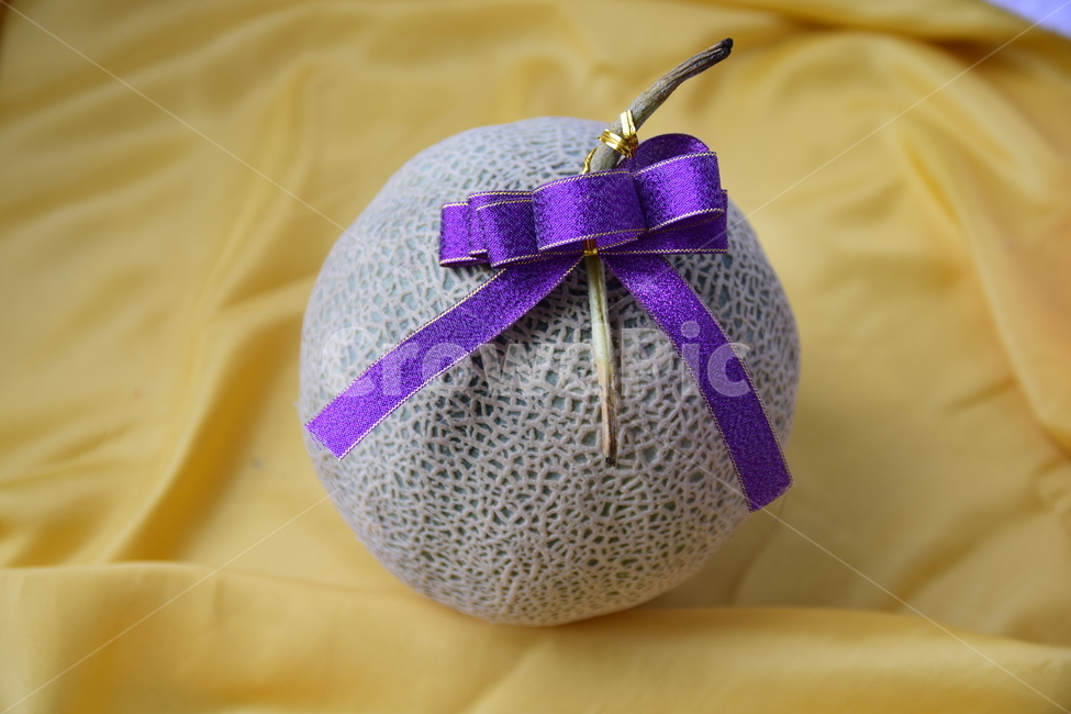 멜론,메론,과일,열매,열대과일,박스,리본,보자기,박과,melon,fruit,food,plant,ribbon,box,음식,식재료,요리,food,cook,meal,dishes,food reserves,과일,열매,fruit