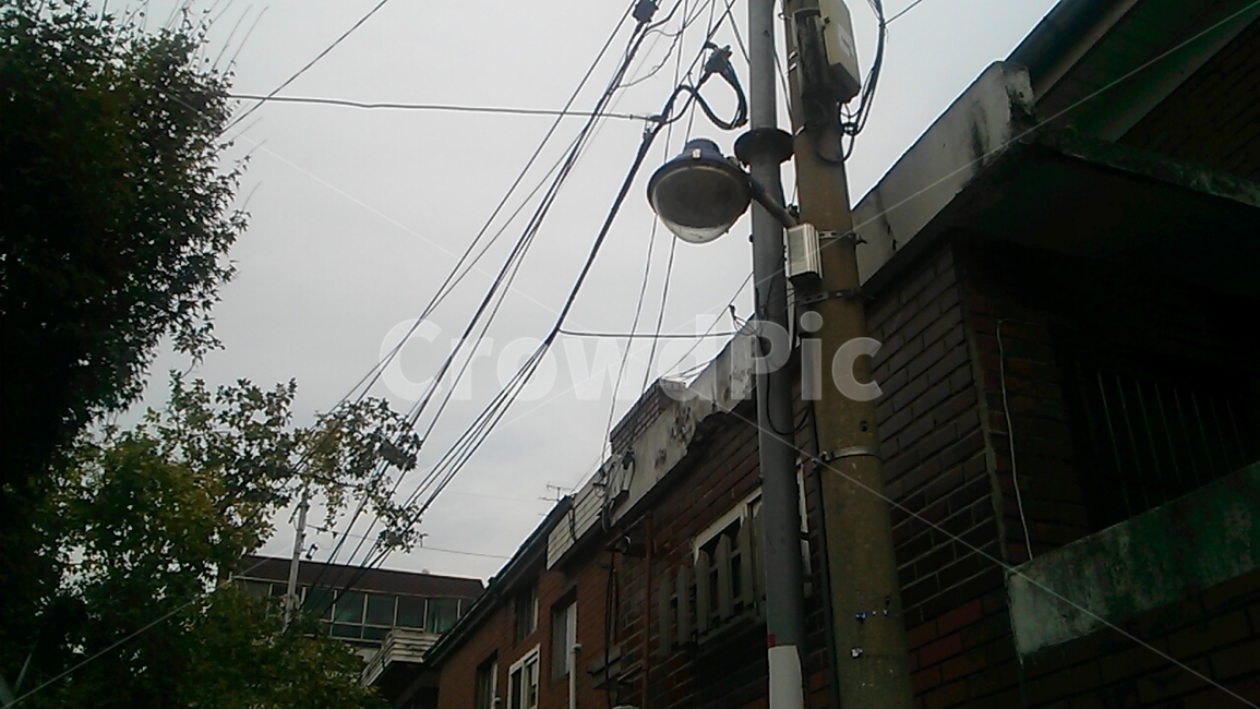 전봇대,나무,하늘,가로수,가로등,telephonepole,tree,sky,streettrees,streetlamp,집,house