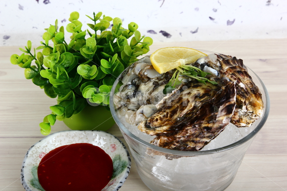 석화,굴,생굴,해산물,조개,신선,싱싱,음식,식품,dish,oysters,seafood,shellfish,fresh,crispy,food,음식,식재료,요리,food,cook,meal,dishes,food reserves,수산물,해산물,fishery products,seafood