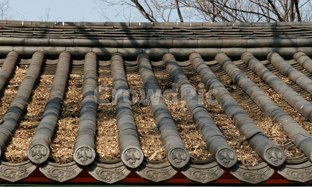 가을,전통,기와,지붕,낙엽,한국전통,한국문화,korean traditional,korean culture,건축물,건물외관,exterior,building,structure,architecture,construction